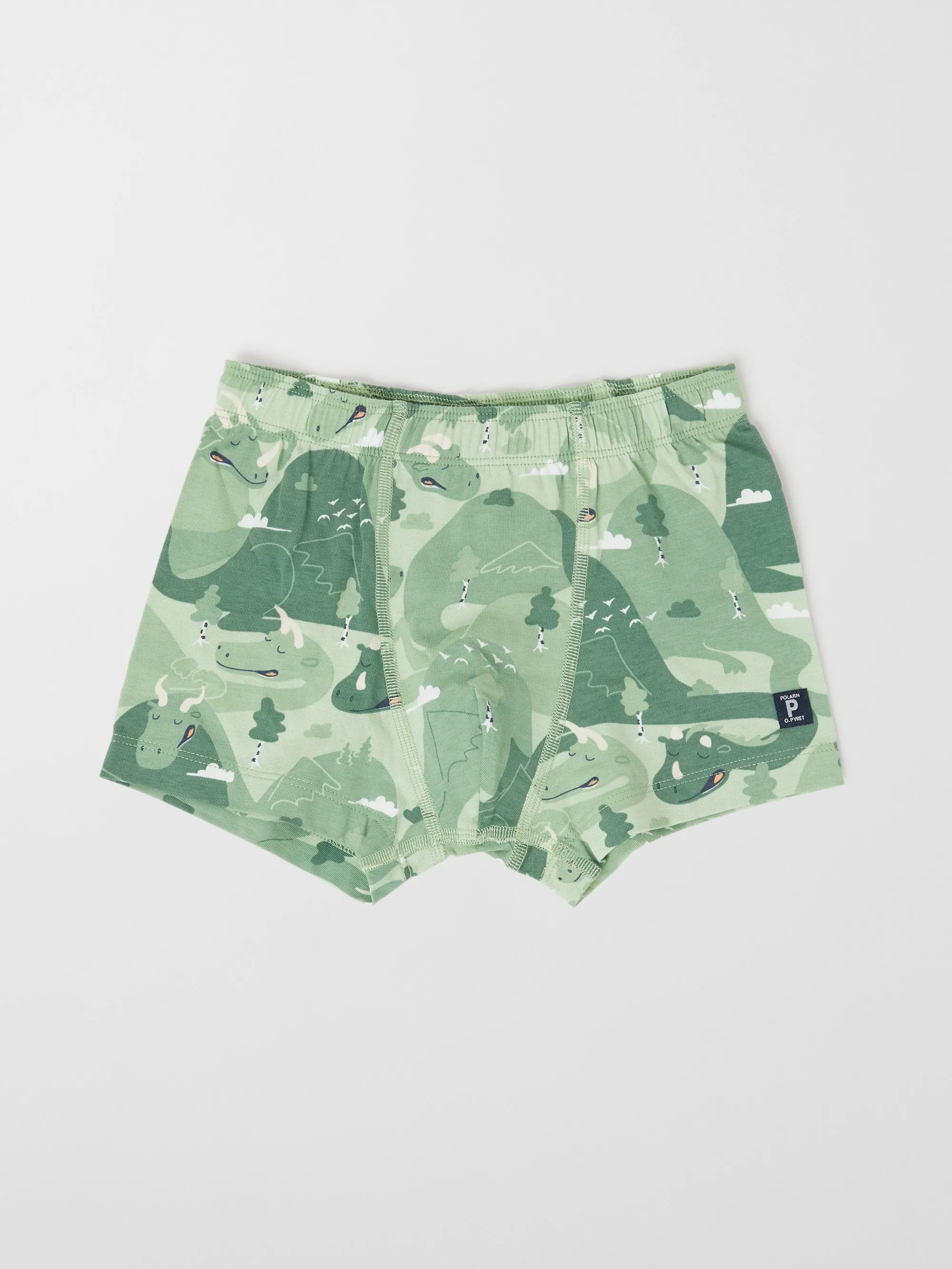 Dragon Print Boys Boxers