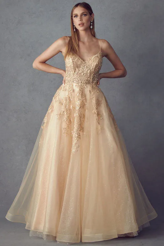 Open back ball gown