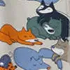 Sleepy Fox Girls Briefs